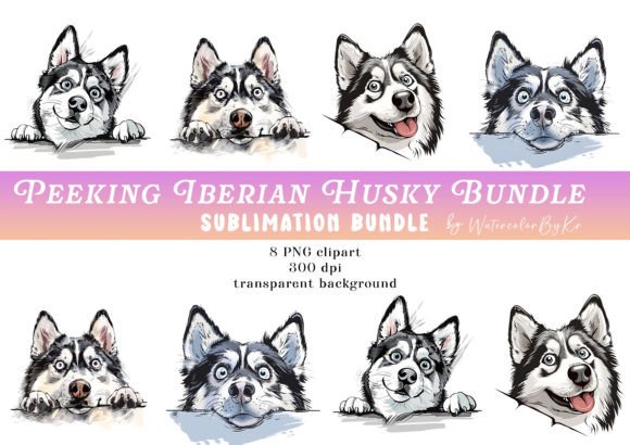 Download Peeking Siberian Husky Dog Bundle - Premium Resources