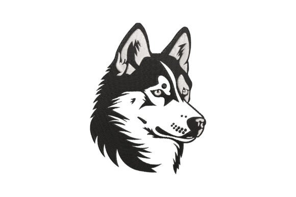 Download Siberian Husky Dog - Siberian husky dog Collection