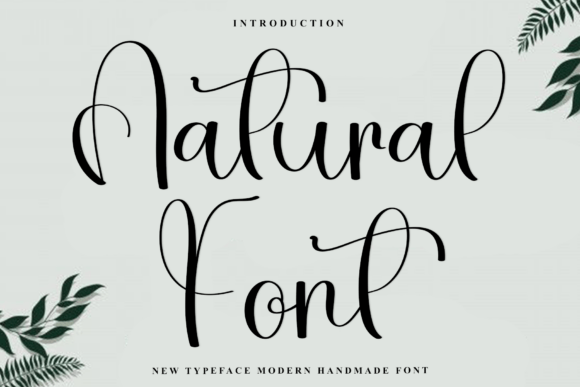Download Natural - Natural Collection