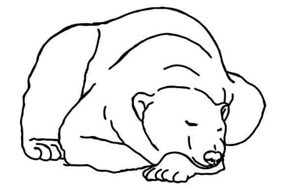 Download Sleeping Polar Bear Line Art Vector - Bear line art Collection