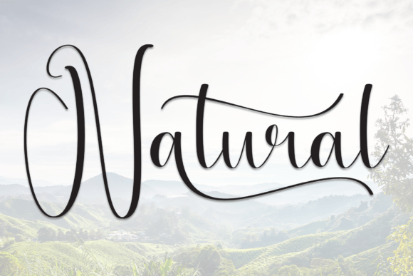 Download Natural - Natural Collection